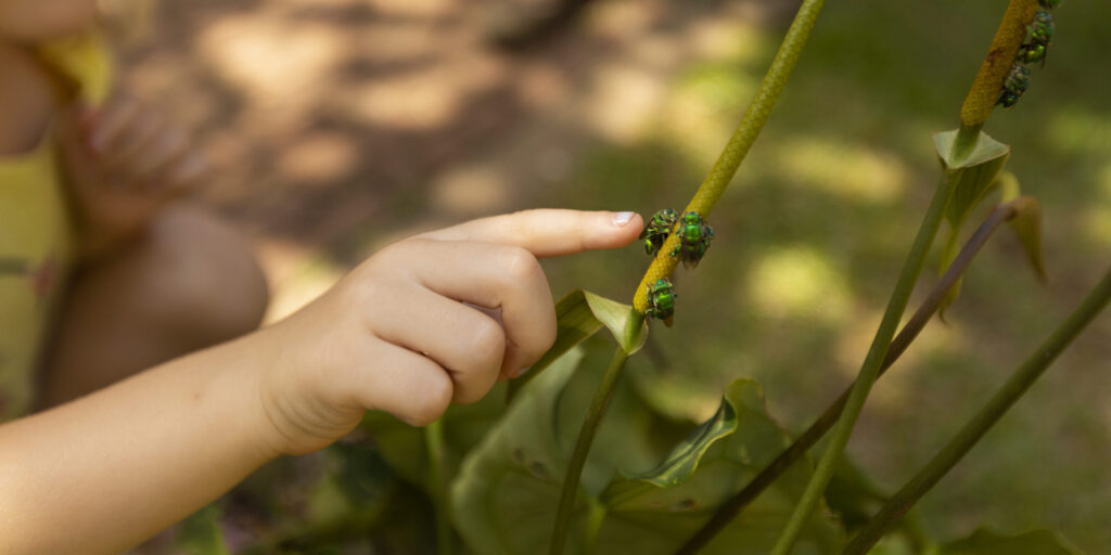 Criança Jardineira - Foto Marcello Ferreira