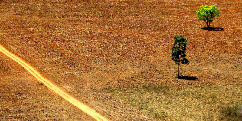 O desmatamento da Amazônia e outras ações humanas que impactam negativamente os biomas brasileiros vêm provocando períodos de seca e de chuva cada vez mais intensos. Crédito: Ana Cotta / Creative Commons.