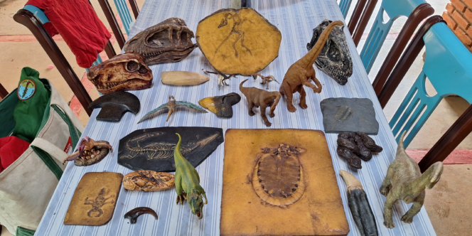 Dinossauros do Brasil - divulgação