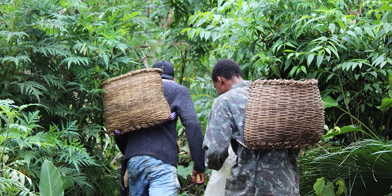 No caminho dos antigos - indo para a roça | Foto: Luiz Ketu