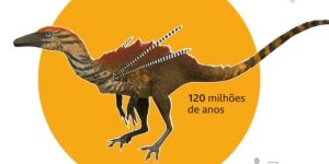 12.2024 - Meio Ambiente - Em busca do vale dos dinos brasileiros - 1