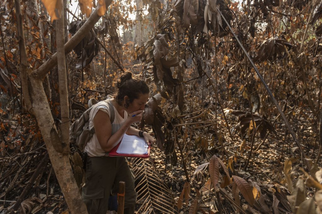 Imagem colorida e retangular de uma mulher com cabelos presos, segurando uma prancheta vermelha e uma folha e com a mão tapando a boca. Ela está em meio à floresta repleta de folhas secas. 