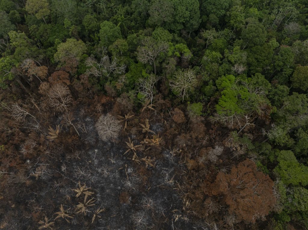 #PraCegoVer Imagem retangular e colorida de uma floresta vista de cima com grande parte da vegetação queimada. 