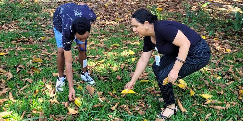 Descrição resumida: No jardim do  estacionamento do Sesc Casa Verde, Elisa e William homem negro de cabelos curtos, usa camiseta azul e bermuda jeans, estão colhendo folhas caídas do chão.