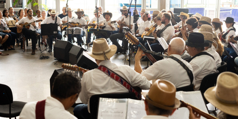 Música intervenção Viola Caipira